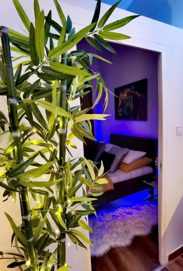 Dolce Vita Supremier Apartman Budapest Kültér fotó